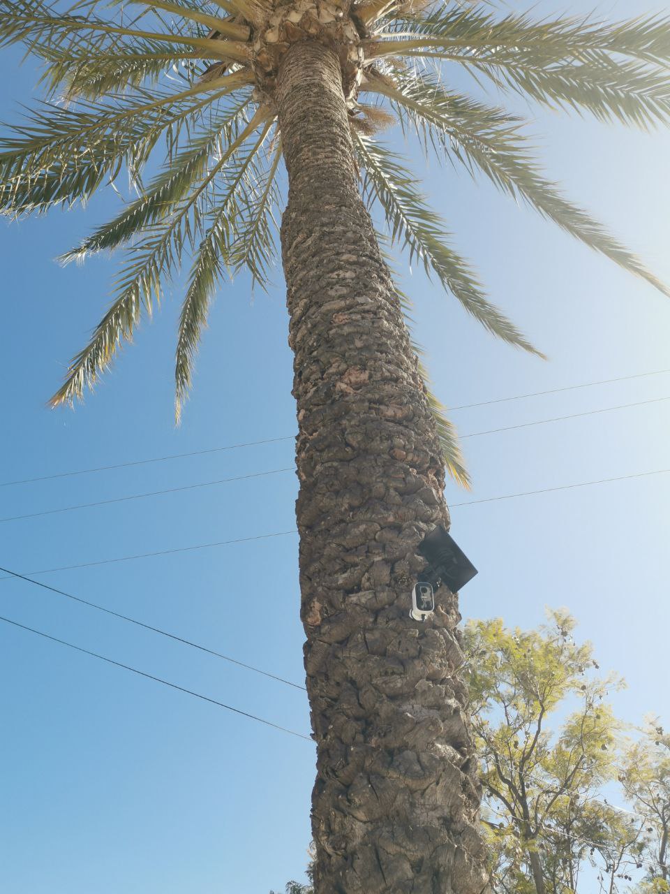 alarmsysteem installatie Calpe 11 Project 13 Alarmsysteem Calpe installatie