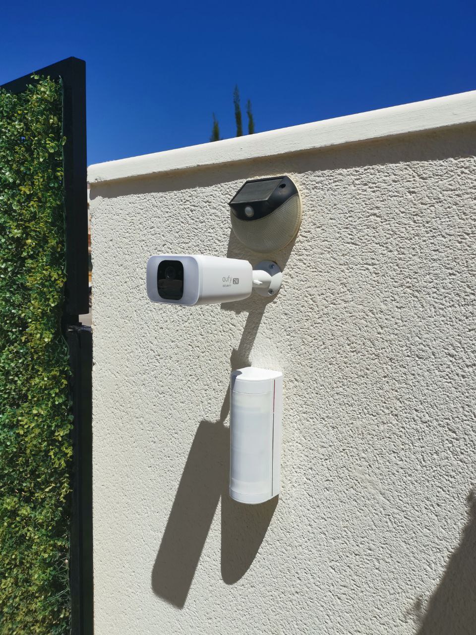 project 31 7 Project 31 project 31 7