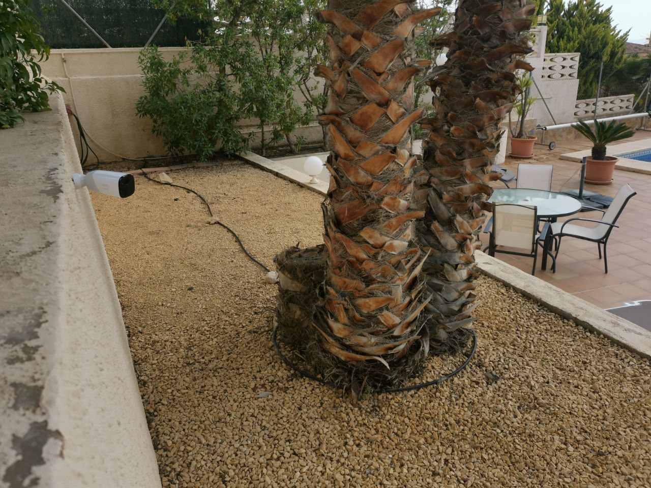 project 37 5 Project 37 project 37 5