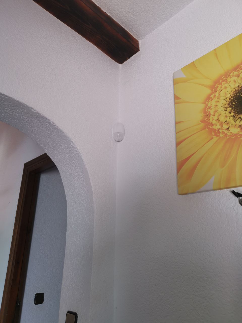 alarm installeren 21 Project 40 alarm installatie