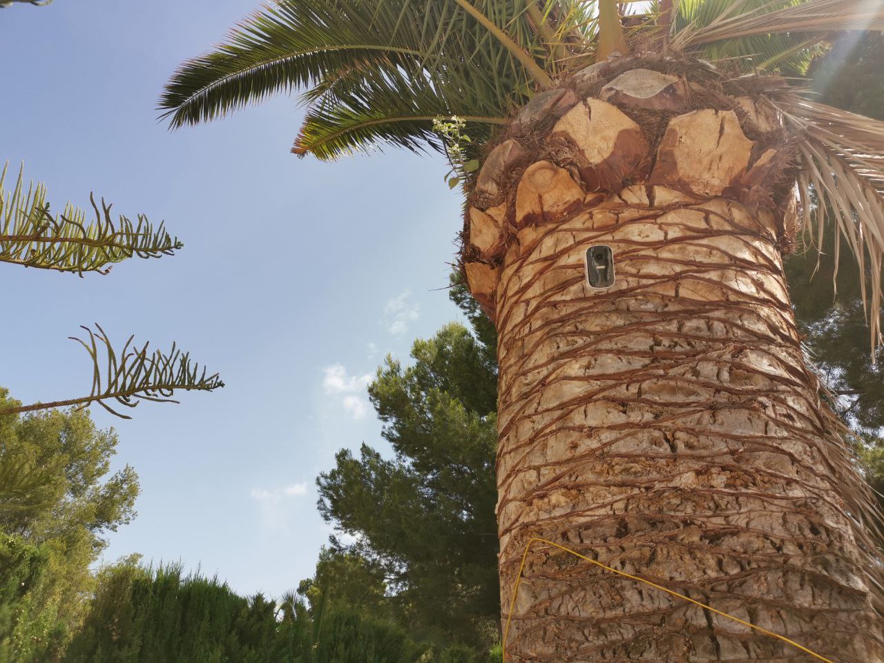 alarm installeren 42 Project 43 alarmsysteem installatie vrijstaande woning