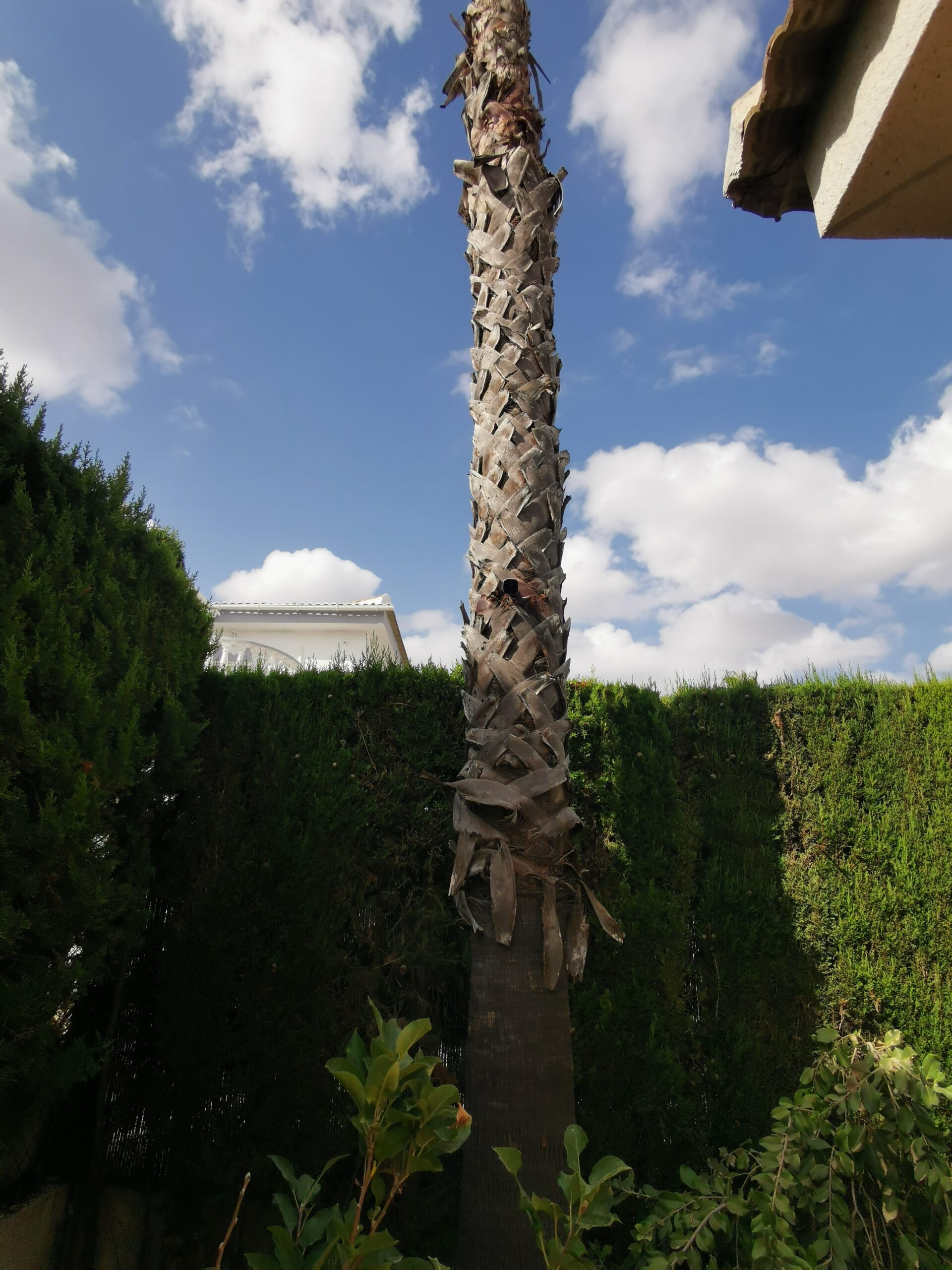 alarmsysteem installeren quesada 2 2 scaled Project 11 alarmsysteem installatie