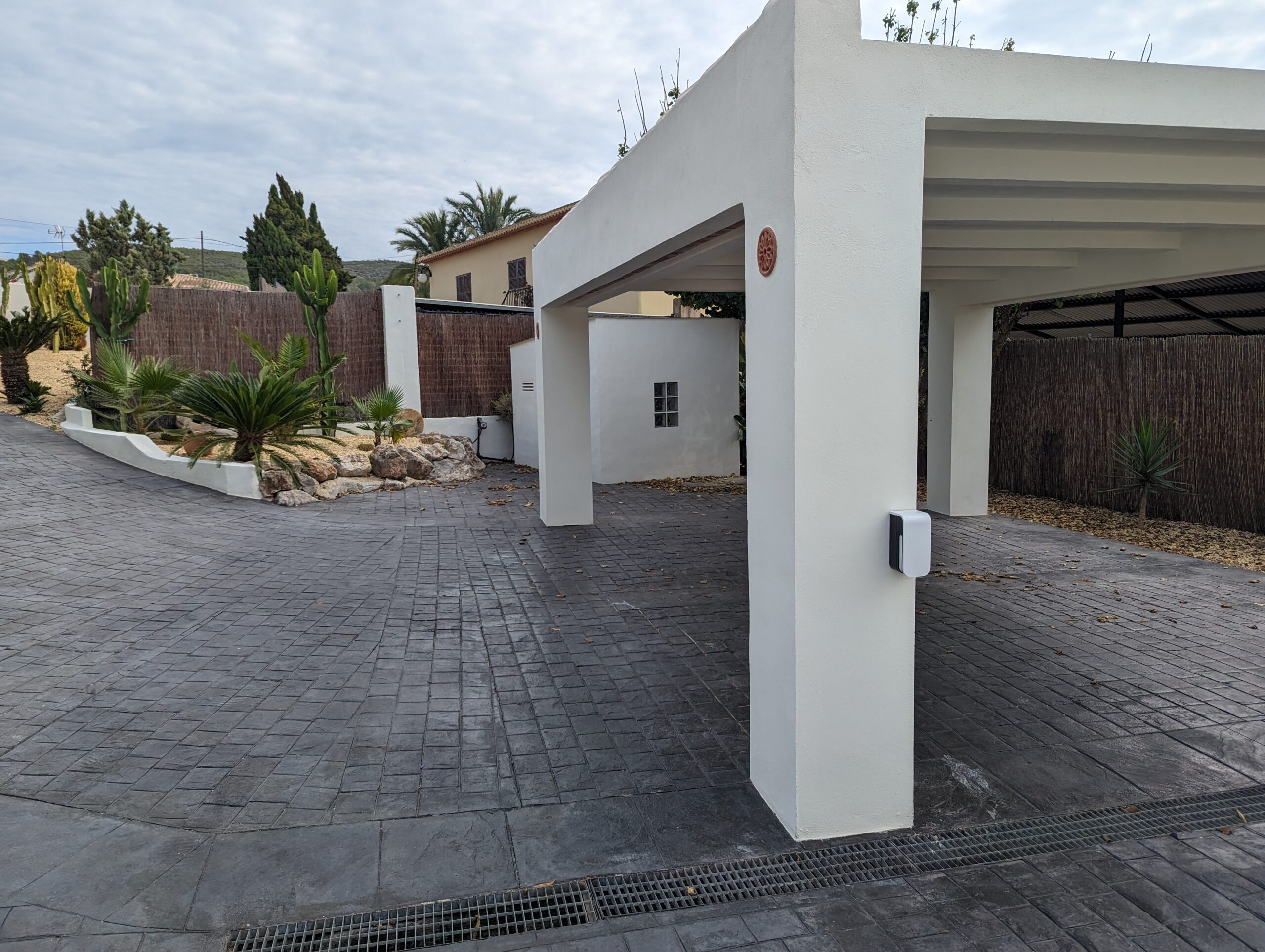 PXL 20231016 120351474 scaled Video PXL 20231016 120351474 scaled